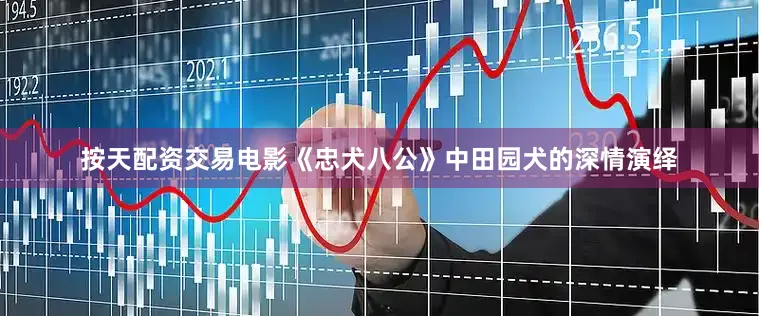按天配资交易电影《忠犬八公》中田园犬的深情演绎