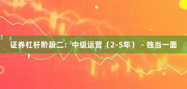 证券杠杆阶段二：中级运营（2-5年） - 独当一面