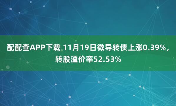 配配查APP下载 11月19日微导转债上涨0.39%，转股溢价率52.53%