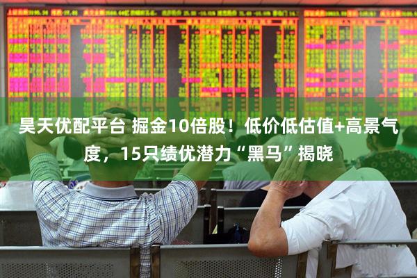 昊天优配平台 掘金10倍股！低价低估值+高景气度，15只绩优潜力“黑马”揭晓